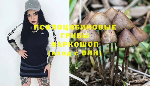 дмт Балабаново