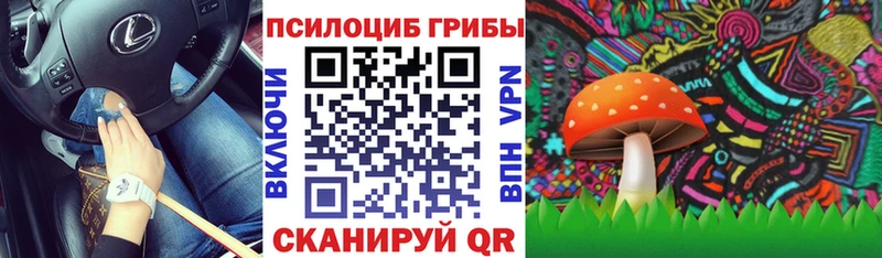 Псилоцибиновые грибы GOLDEN TEACHER  что такое   Ессентуки 