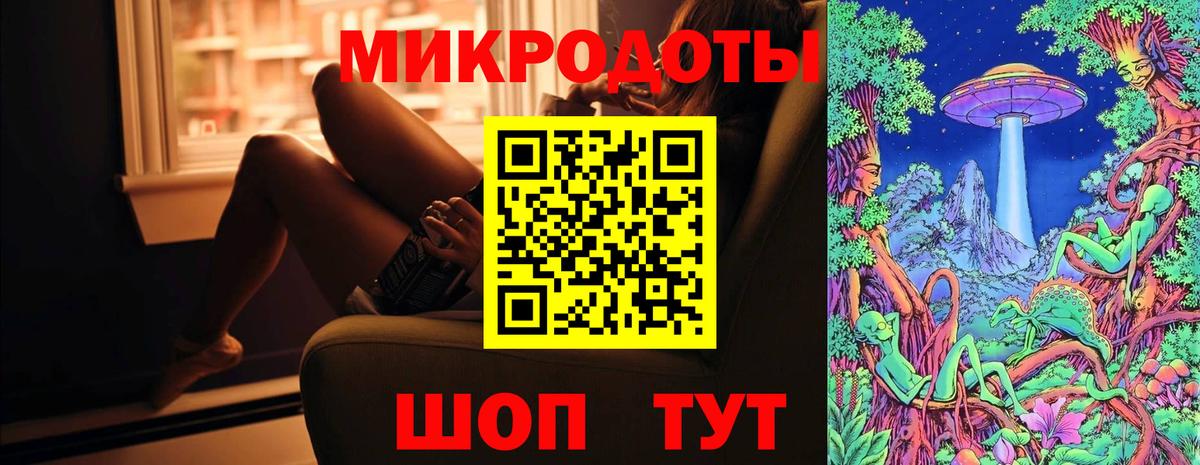 Галлюциногенные грибы Psilocybe Ессентуки