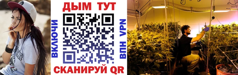MEGA вход  Ессентуки  Марихуана сатива 